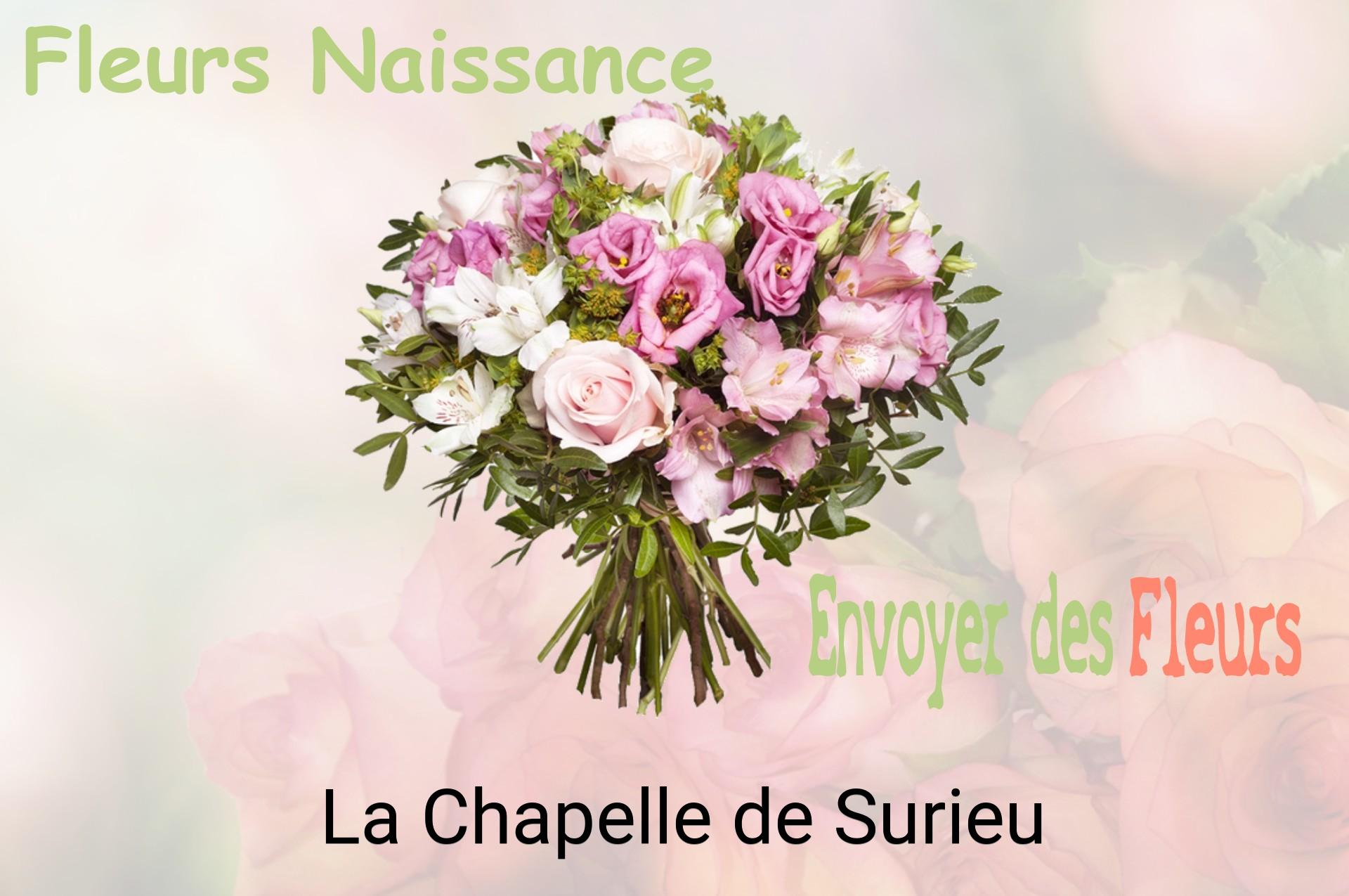 Bouquet de fleurs de naissance livré à La Chapelle-de-Surieu