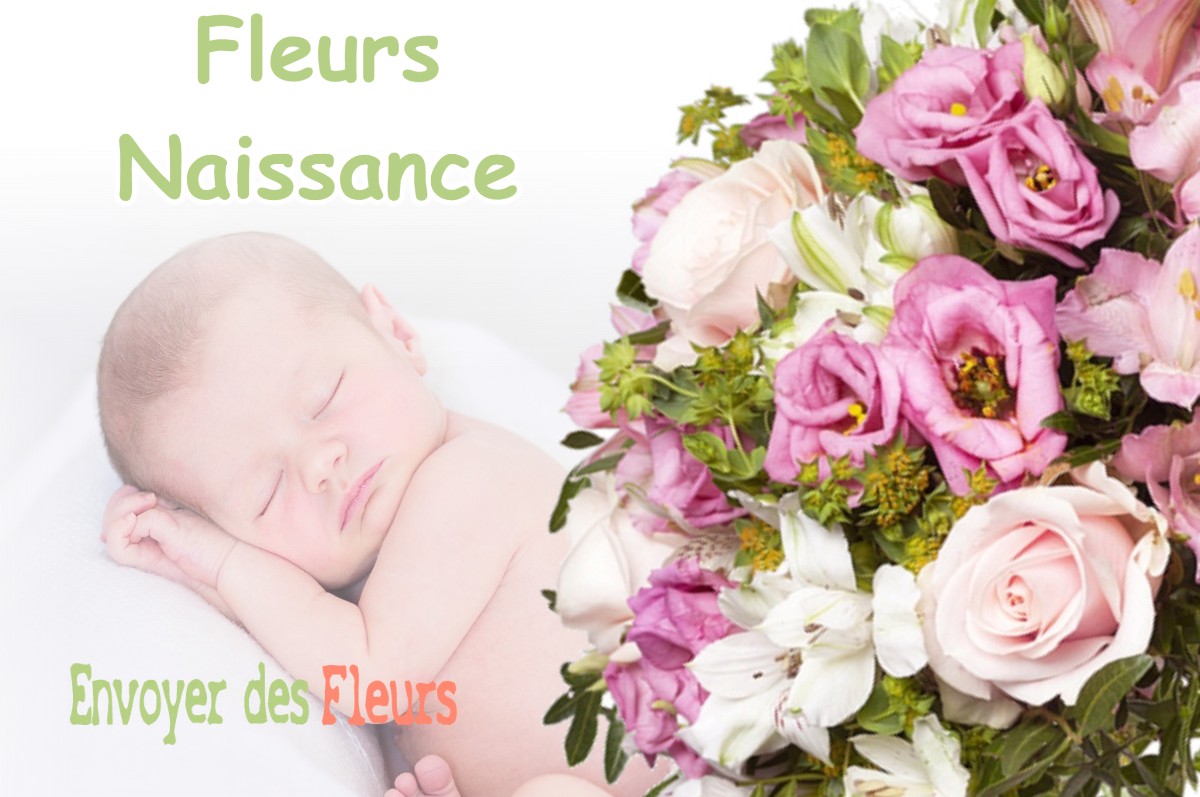 lIVRAISON FLEURS NAISSANCE à LA-CHAPELLE-DE-SURIEU